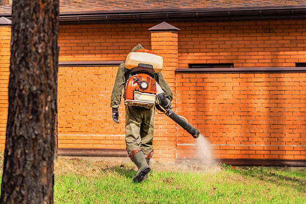 Trusted Bed Bug Control service in Bellemont, AZ - Nex Pest Control